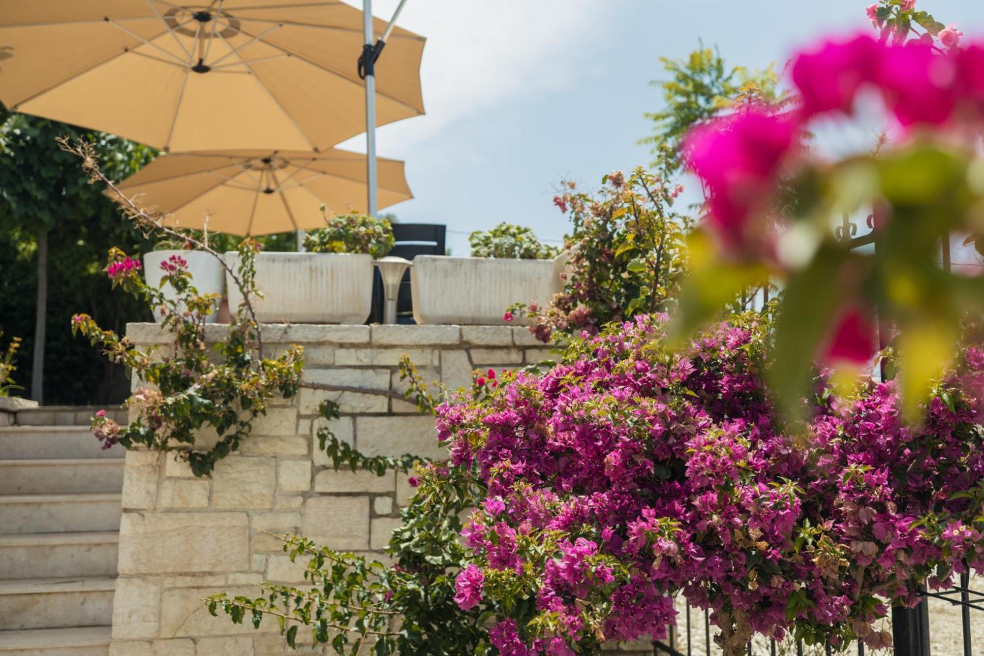 Voyage Villa Vlorë Exterior foto